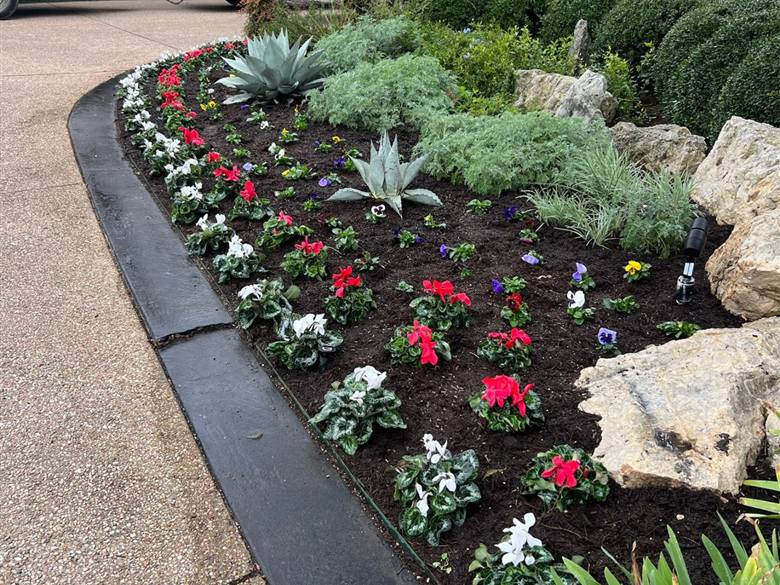 Finished landscape design with flowering beds and steel edging in Austin, TX
